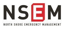 NSEM Logo
