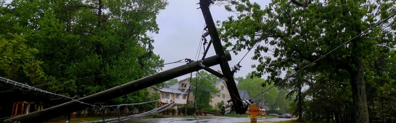 transformer on a electric poles and a tree laying across power lines over a road after Hurricane