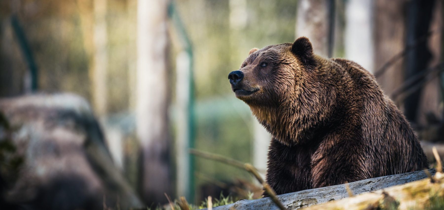 pexels-janko-ferlic-1068554
