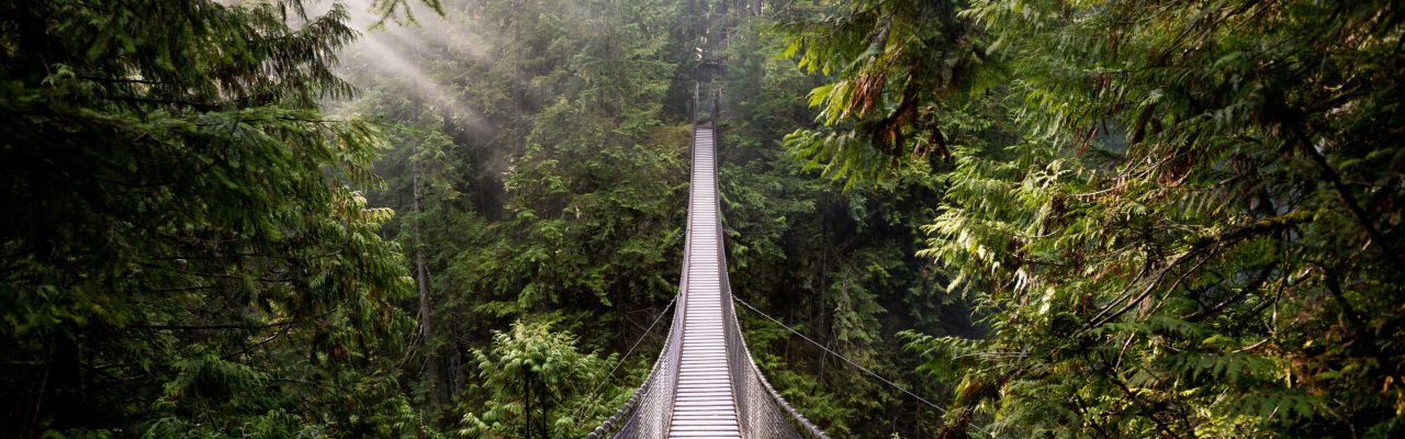 Suspension,Bridge,In,North,Vancouver,,Canada