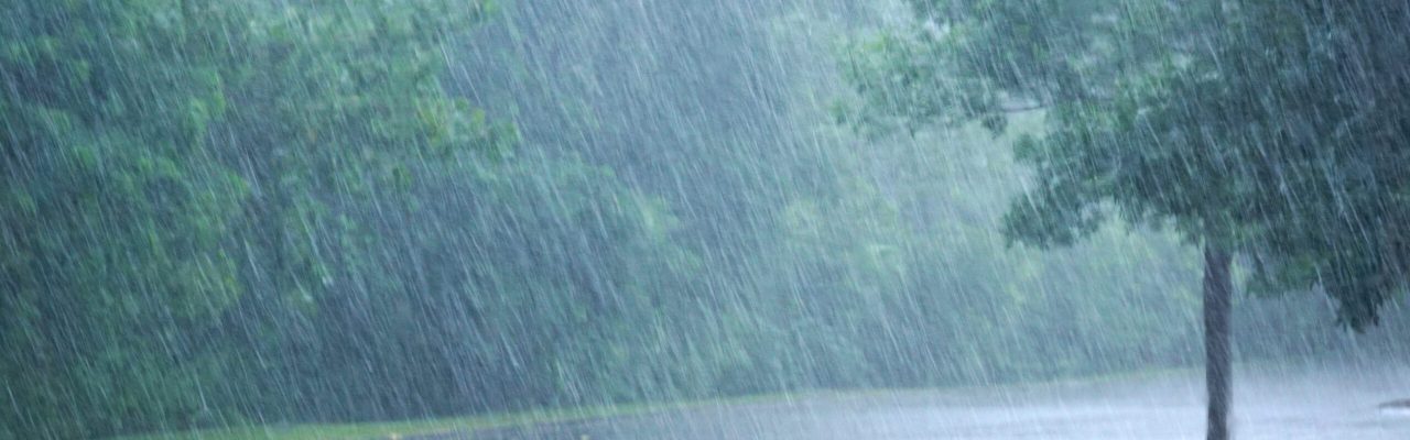 Heavy,Rain,And,Tree,In,The,Parking,Lot