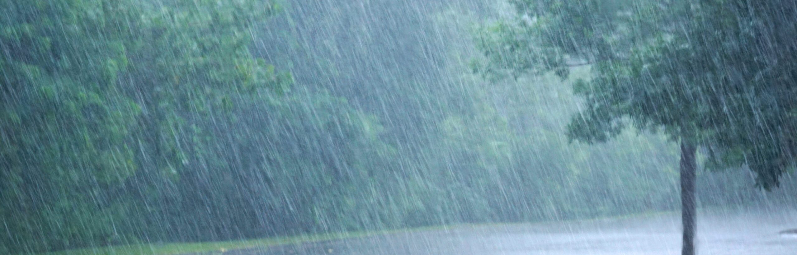Heavy,Rain,And,Tree,In,The,Parking,Lot